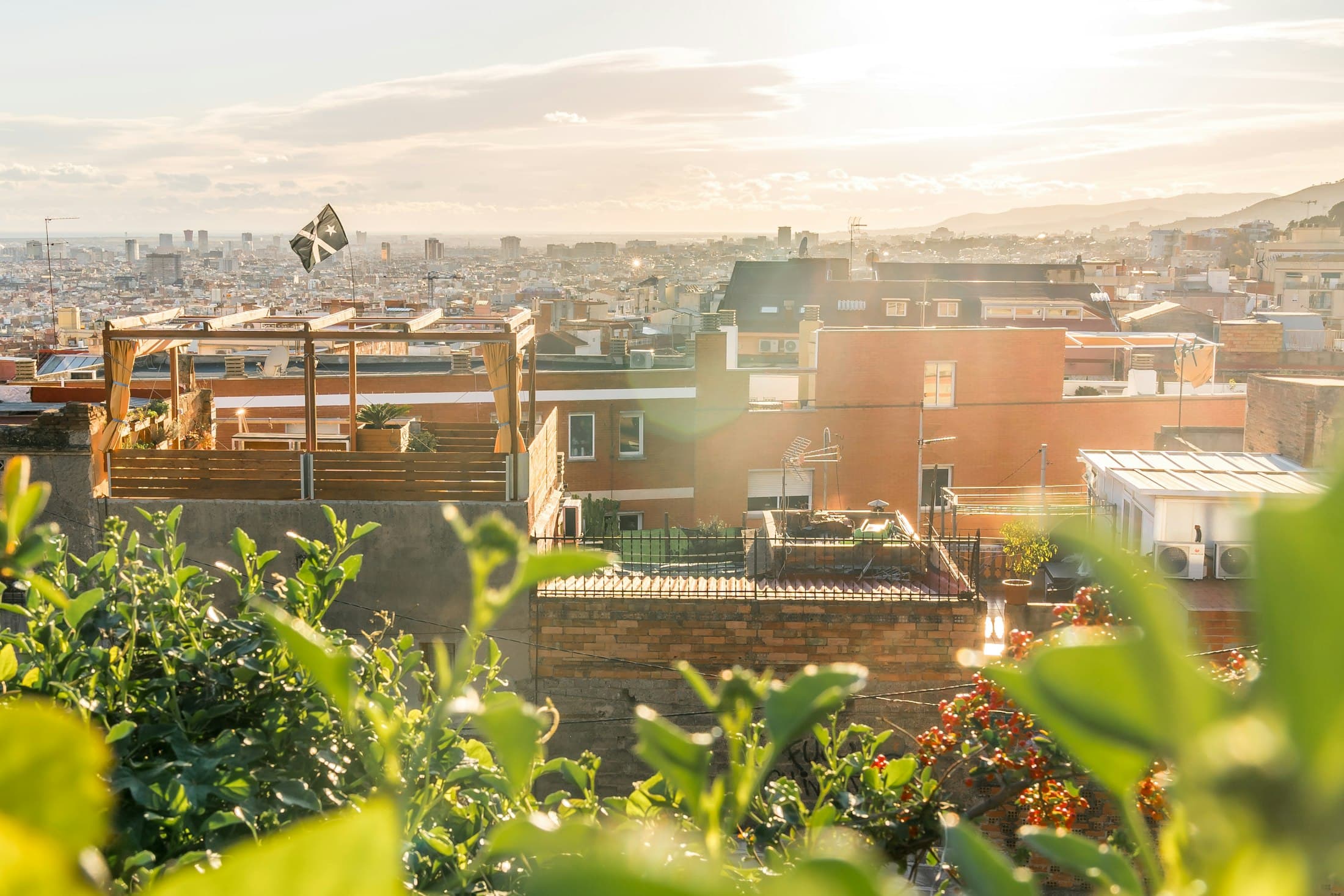 City rooftops bathed in warm golden sunlight