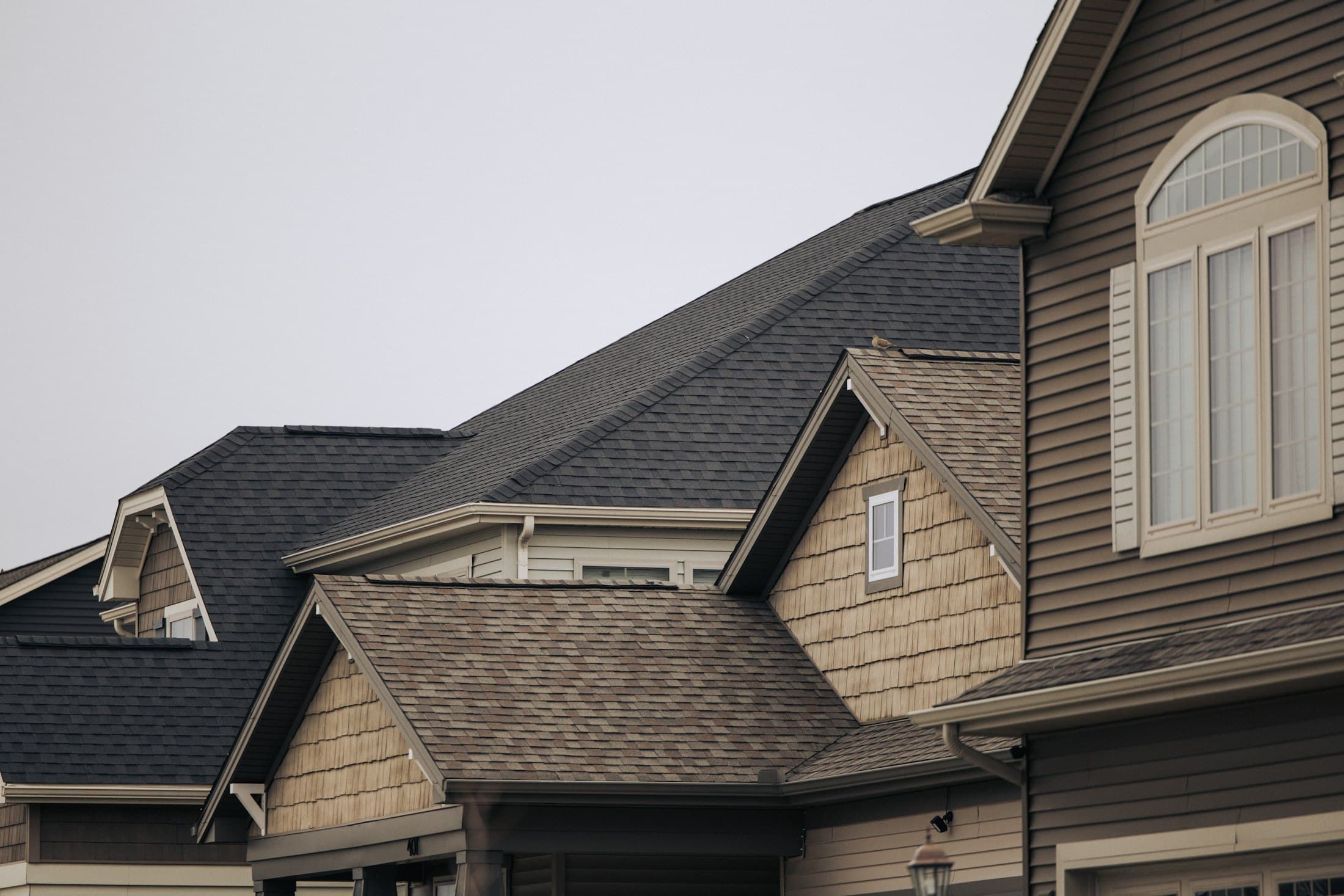 Row of residential rooftops with weather-resistant shingles